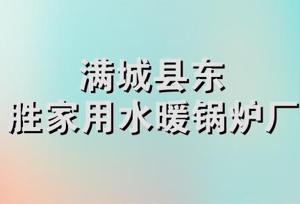 满城县东胜家用水暖锅炉厂