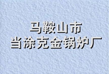 马鞍山市当涂克金锅炉厂