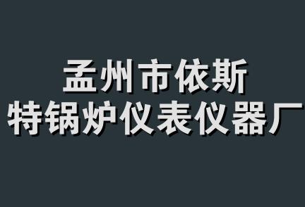 孟州市依斯特锅炉仪表仪器厂