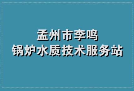 孟州市李鸣锅炉水质技术服务站