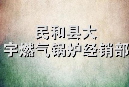 民和县大宇燃气锅炉经销部