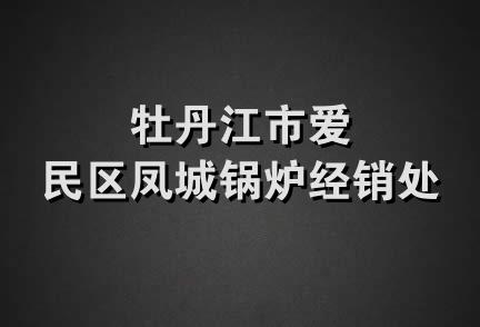 牡丹江市爱民区凤城锅炉经销处