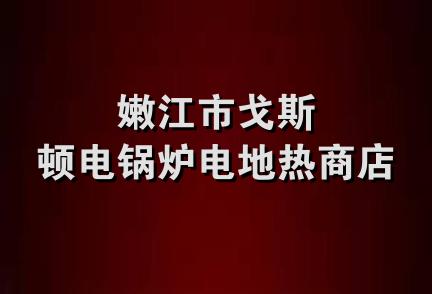 嫩江市戈斯顿电锅炉电地热商店