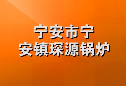 宁安市宁安镇琛源锅炉