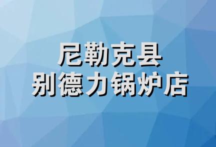 尼勒克县别德力锅炉店