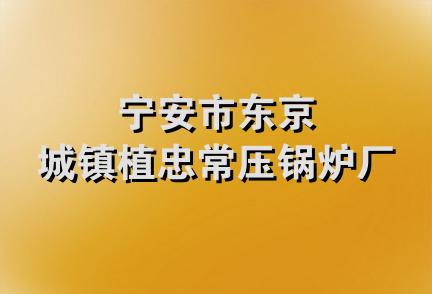 宁安市东京城镇植忠常压锅炉厂