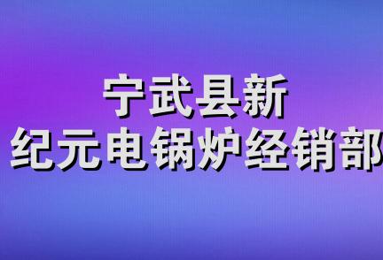 宁武县新纪元电锅炉经销部