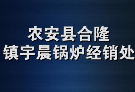 农安县合隆镇宇晨锅炉经销处