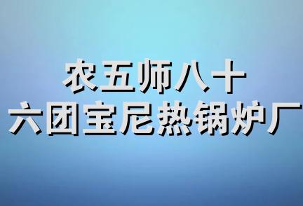 农五师八十六团宝尼热锅炉厂