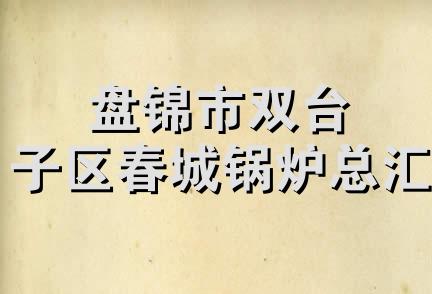 盘锦市双台子区春城锅炉总汇