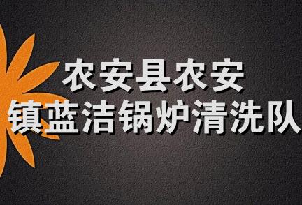 农安县农安镇蓝洁锅炉清洗队