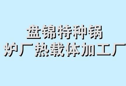 盘锦特种锅炉厂热载体加工厂