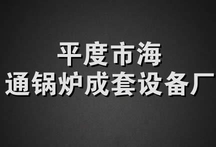 平度市海通锅炉成套设备厂