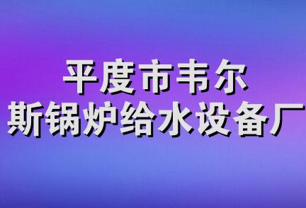 平度市韦尔斯锅炉给水设备厂