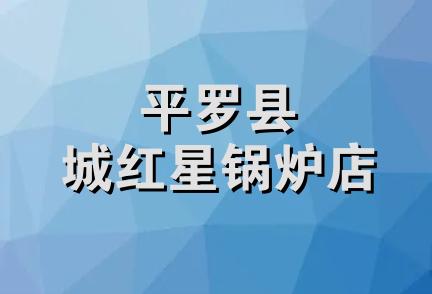 平罗县城红星锅炉店