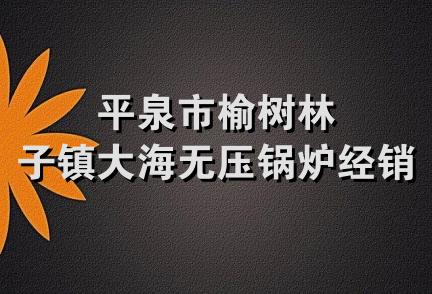 平泉市榆树林子镇大海无压锅炉经销处