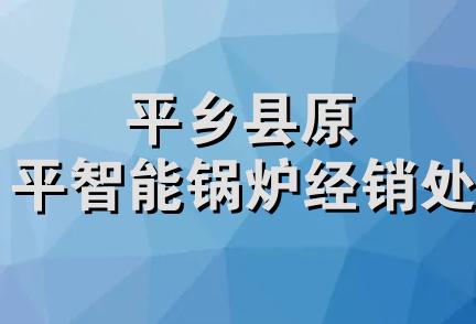 平乡县原平智能锅炉经销处