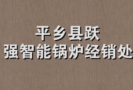 平乡县跃强智能锅炉经销处