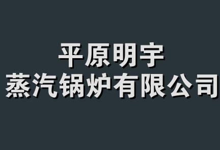 平原明宇蒸汽锅炉有限公司