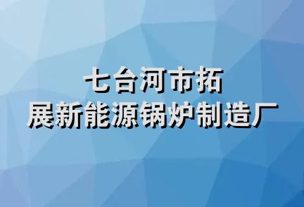 七台河市拓展新能源锅炉制造厂