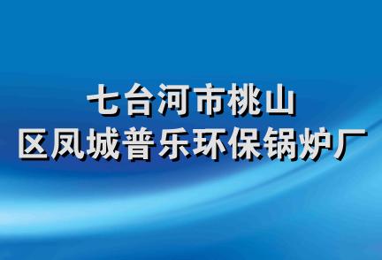 七台河市桃山区凤城普乐环保锅炉厂