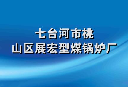 七台河市桃山区展宏型煤锅炉厂