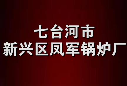 七台河市新兴区凤军锅炉厂