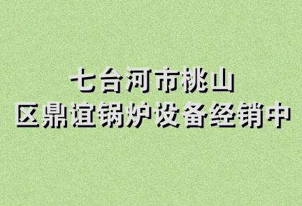 七台河市桃山区鼎谊锅炉设备经销中心