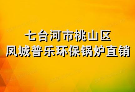 七台河市桃山区凤城普乐环保锅炉直销处