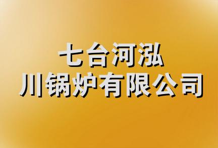 七台河泓川锅炉有限公司