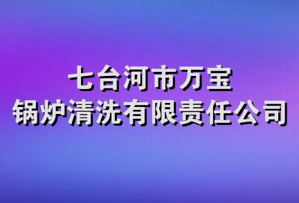 七台河市万宝锅炉清洗有限责任公司