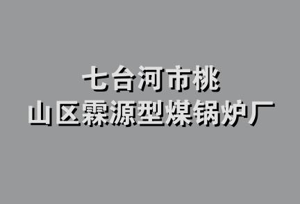 七台河市桃山区霖源型煤锅炉厂