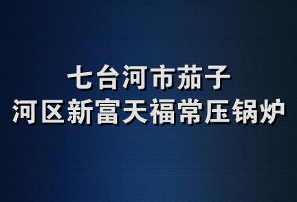 七台河市茄子河区新富天福常压锅炉厂