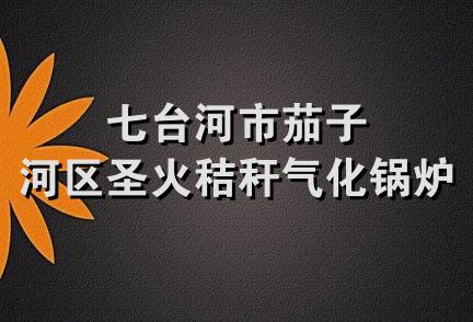 七台河市茄子河区圣火秸秆气化锅炉厂