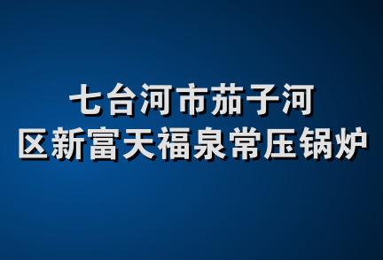 七台河市茄子河区新富天福泉常压锅炉厂