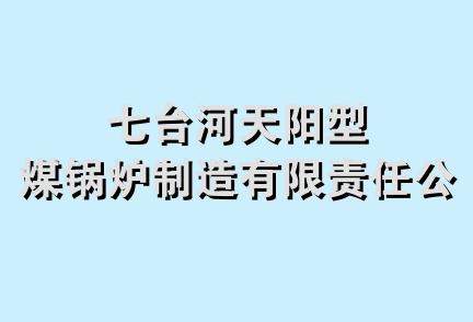 七台河天阳型煤锅炉制造有限责任公司