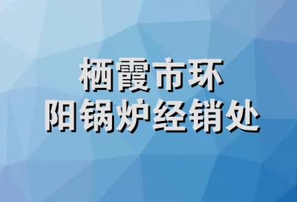 栖霞市环阳锅炉经销处