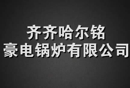 齐齐哈尔铭豪电锅炉有限公司