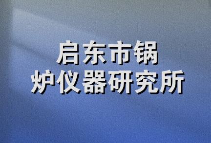 启东市锅炉仪器研究所