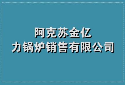 阿克苏金亿力锅炉销售有限公司