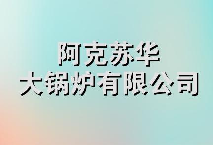 阿克苏华大锅炉有限公司