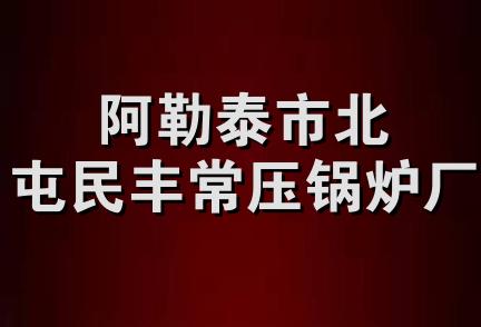 阿勒泰市北屯民丰常压锅炉厂