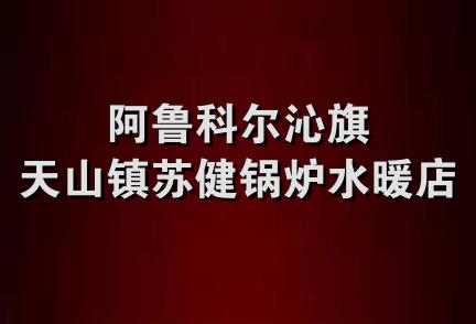 阿鲁科尔沁旗天山镇苏健锅炉水暖店