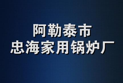 阿勒泰市忠海家用锅炉厂