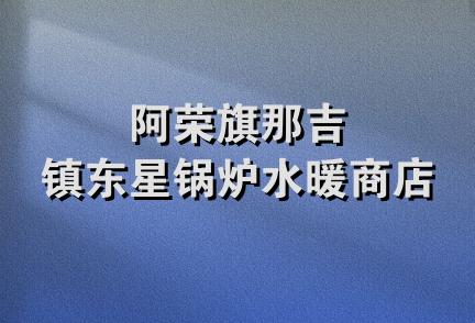 阿荣旗那吉镇东星锅炉水暖商店