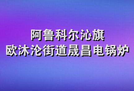 阿鲁科尔沁旗欧沐沦街道晟昌电锅炉店