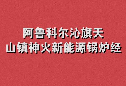 阿鲁科尔沁旗天山镇神火新能源锅炉经销处