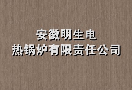 安徽明生电热锅炉有限责任公司