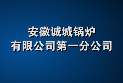 安徽诚城锅炉有限公司第一分公司