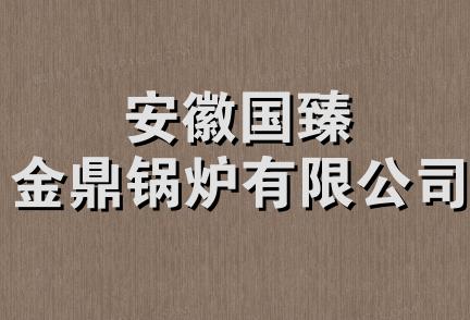 安徽国臻金鼎锅炉有限公司